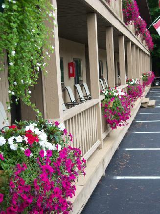 Tall Pines Motel Lake George Zewnętrze zdjęcie