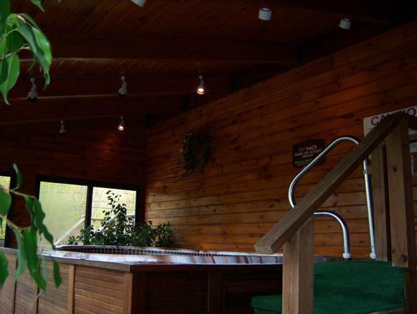 Tall Pines Motel Lake George Zewnętrze zdjęcie