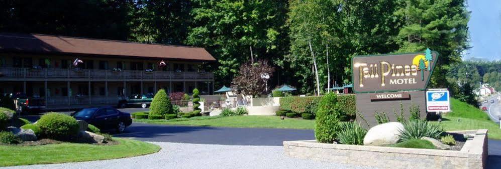 Tall Pines Motel Lake George Zewnętrze zdjęcie